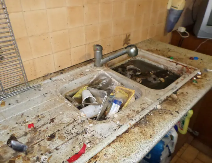 Nettoyage Insalubre Arvert, Charente-Maritime (17)